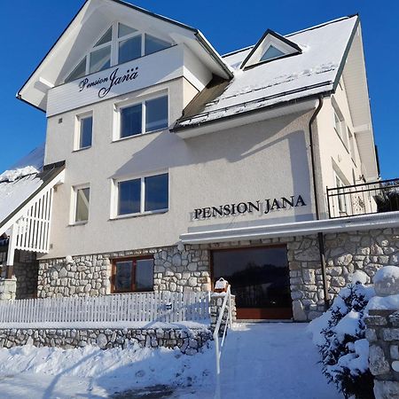 Pension Jana - Wellness 伊莱姆尼采 外观 照片